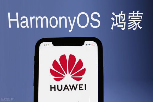 鴻蒙生態崛起，誰是真龍頭？——潤和、常山、誠邁、拓維深度解析